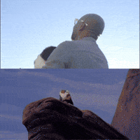 Lion King Dog GIF by Dr. U Hair and Skin Clinic