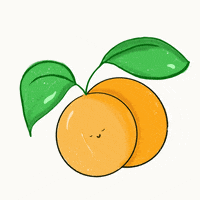 preethidesign  GIF