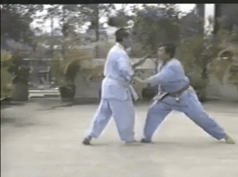 vovinamkhaitm giphyupload GIF