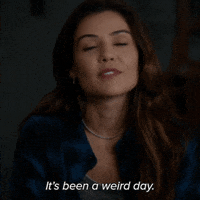 danielle campbell kayla powell GIF by CBS