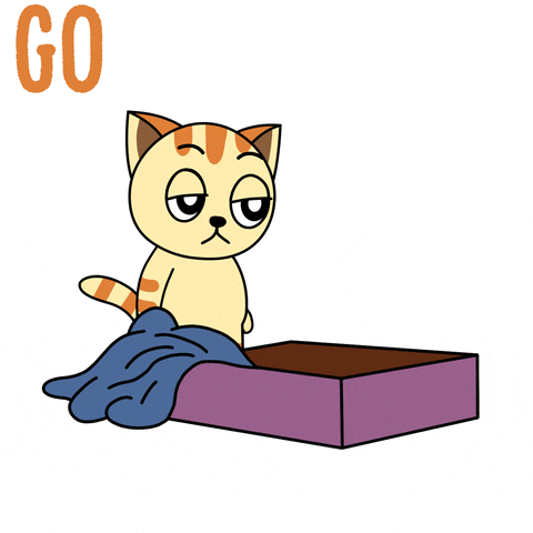 Monday Morning Cats GIF by JPedicini