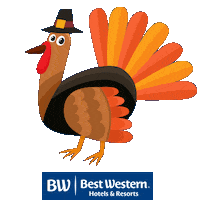 Thanksgiving Turkey Sticker by Best Western