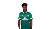 An17 Sticker by SV Werder Bremen