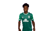 An17 Sticker by SV Werder Bremen