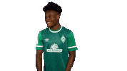 Dance An17 Sticker by SV Werder Bremen