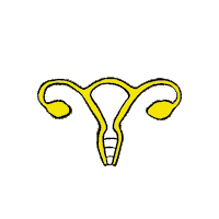 Womens Rights Protest Sticker by UnRestrict Minnesota