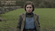 No Problem Wink GIF by All Creatures Great And Small