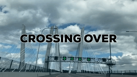 rtsallie giphygifmaker bridges GIF