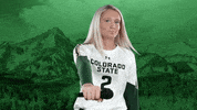 Volleyball GIF by Colorado State Rams