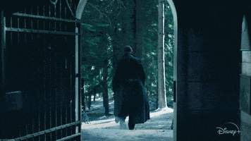 Nick Fury Disney GIF by Marvel Studios