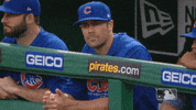 stare hamels GIF by MLB