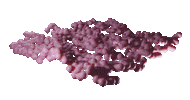 3D Bacteria Sticker by Nico Daunt