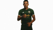 Portland Timbers Silence GIF by Timbers