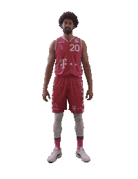 TelekomBaskets love heart basketball liebe Sticker