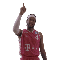 Basketball Swipe Up Sticker by Telekom Baskets Bonn