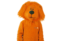 happy football Sticker by ING-DiBa Austria