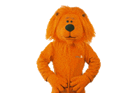 happy football Sticker by ING-DiBa Austria