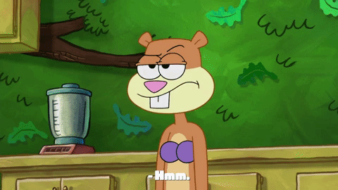 season 9 episode 23 GIF by SpongeBob SquarePants