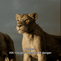 The Lion King Disney GIF by Freeform