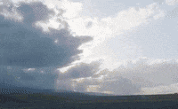 GIF by Partisan Records