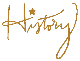 Lin Manuel Miranda Typography Sticker by My Oh My Supply Co.