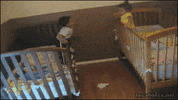 sis come GIF