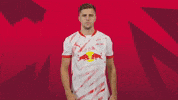 GIF by RB Leipzig