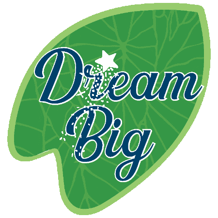 Asb Dream Big Sticker by American Savings Bank