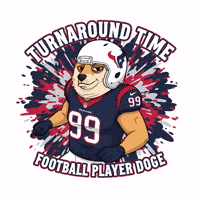 Shiba Inu Football GIF by Doge Pound