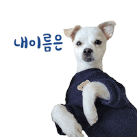 Turm 부산 Sticker by HOPEDEN