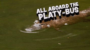 All Aboard Bus GIF by Sealed With A GIF