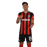Sarcastic Nadiem Amiri Sticker by Bayer 04 Leverkusen