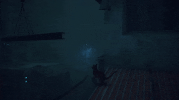 Cat GIF by Annapurna Interactive