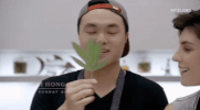 viceland GIF by Bong Appetit