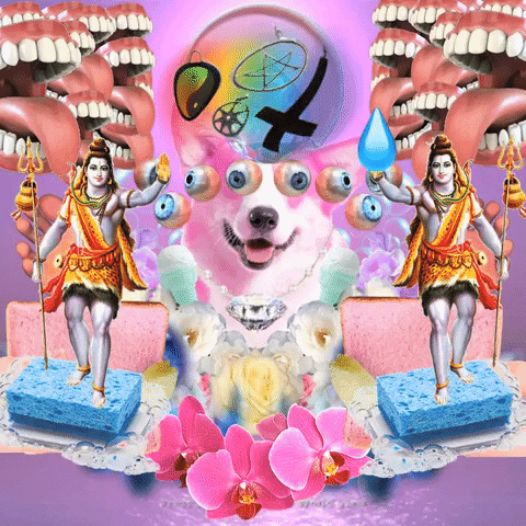 Dog Wtf GIF by Anne Horel