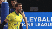 GIF by Volleyball World