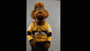 BdnWheatKings kings brandon willie wheat GIF