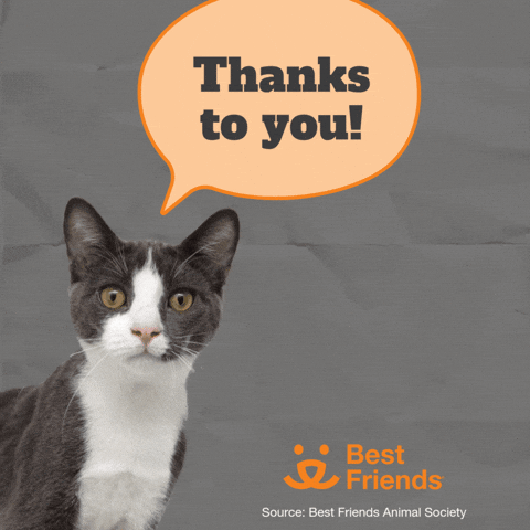 Adopt Best Friends GIF by Best Friends Animal Society