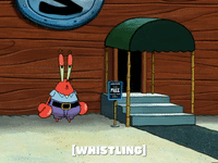 season 5 GIF by SpongeBob SquarePants