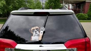 dog cooper GIF by WiperTags