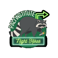 Summer Camp Education Sticker by Pali Institute