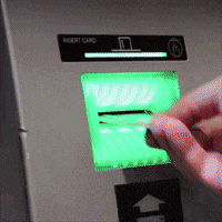 GIF by Brittlestar