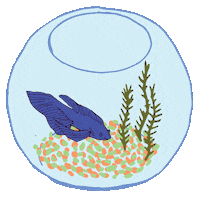 Sticker by bad arithmetic