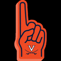 uvaclubs uva wahoowa virginia cavaliers hoos GIF