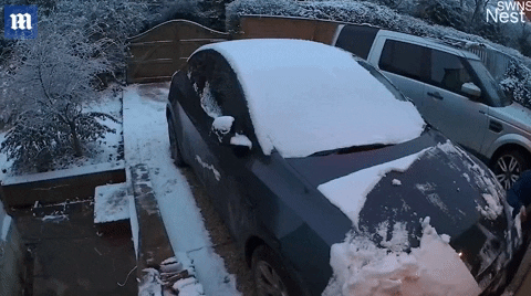 yj_jane giphyupload GIF