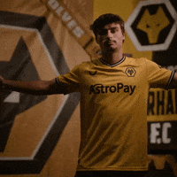 Premier League Football GIF by Wolves