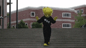 Wu_Shock wsu wu wushock shockers GIF
