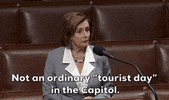 Nancy Pelosi GIF by GIPHY News
