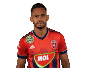 molfehervarfcgif vidi szekesfehervar fehervar evandro Sticker