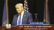 donald trump GIF